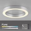 PAUL NEUHAUS LED stropní svítidlo PURE Lines kulaté, metalická šedá (hliník) 2200-5000K
