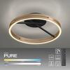 PAUL NEUHAUS Stropní svítidlo PURE Loop LED 7W 2700-5000K + LED 30W 2700-5000K černá/zlatá slonová kost 6552-68