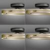 PAUL NEUHAUS Stropní svítidlo PURE Loop LED 7W 2700-5000K + LED 30W 2700-5000K černá/zlatá slonová kost 6552-68