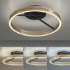 PAUL NEUHAUS Stropní svítidlo PURE Loop LED 7W 2700-5000K + LED 30W 2700-5000K černá/zlatá slonová kost 6552-68