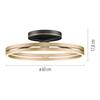 PAUL NEUHAUS Stropní svítidlo PURE Loop LED 7W 2700-5000K + LED 30W 2700-5000K černá/zlatá slonová kost 6552-68