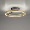 PAUL NEUHAUS Stropní svítidlo PURE Loop LED 7W 2700-5000K + LED 30W 2700-5000K černá/zlatá slonová kost 6552-68