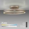 PAUL NEUHAUS LED stropní svítidlo PURE Loop, bronzová, stmívatelné, dálkový ovladač 2200-5000K