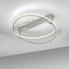 PAUL NEUHAUS LED stropní svítidlo Q-BELUGA stříbrná stmívatelné Smart Home ZigBee 2700-5000K PN 6739-55