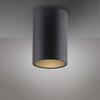 PAUL NEUHAUS LED stropní svítidlo PURE Point, černá, vnitřní, stmívatelné 2700K