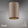 PAUL NEUHAUS LED stropní svítidlo PURE Point, bronzová, vnitřní, stmívatelné 2700K