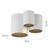 PAUL NEUHAUS LED stropní svítidlo PURE Point, bílá, vnitřní, stmívatelné 2700K