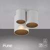 PAUL NEUHAUS LED stropní svítidlo PURE Point, bílá, vnitřní, stmívatelné 2700K