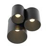 PAUL NEUHAUS LED stropní svítidlo PURE Point, černá, vnitřní, stmívatelné 2700K