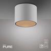 PAUL NEUHAUS LED stropní svítidlo PURE Point, bílá, vnitřní stmívatelné 2700K