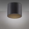 PAUL NEUHAUS LED stropní svítidlo PURE Point, černá, vnitřní, stmívatelné 2700K
