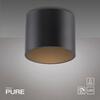 PAUL NEUHAUS LED stropní svítidlo PURE Point, černá, vnitřní, stmívatelné 2700K