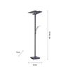PAUL NEUHAUS LED stojací lampa antracit, nastavitelná, stmívatelná, čtecí rameno, CCT paměť 2700-5000K
