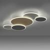 PAUL NEUHAUS Paul Neuhaus LED stropní svítidlo Q-PIATO vícebarevné 5 kruhové Smart Home ZigBee 2700-5000K PN 8008-70