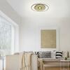 PAUL NEUHAUS Q-AMIRA LED stropní svítidlo v černé mosazi s nastavitelnou barvou světla a dálkovým ovládáním Smart Home ZigBee 2700-5000K