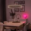 PAUL NEUHAUS Q-VITO, LED závěsné svítidlo, Smart Home, průměr 59cm ZigBee 2700-5000K PN 8411-13