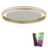 PAUL NEUHAUS, Q-VITO, LED stropní svítidlo, pr.59cm, Smart Home ZigBee 2700-5000K 8416-60