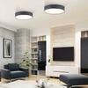 PAUL NEUHAUS Q-KIARA, LED stropní svítidlo, Smart Home 2700-5000K PN 8428-15