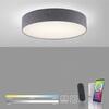 PAUL NEUHAUS Q-KIARA, LED stropní svítidlo, Smart Home 2700-5000K PN 8428-15