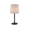 PAUL NEUHAUS Stolní lampa, antracit, stínítko z umělé hmoty, proti oslnění 9500-13