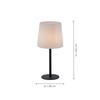 PAUL NEUHAUS Stolní lampa, antracit, stínítko z umělé hmoty, proti oslnění 9500-13