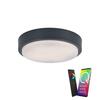 PAUL NEUHAUS Q-LENNY,  LED venkovní svítidlo, Smart Home RGB+3000K PN 9650-13