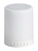 Rabalux SMART svítidlo s reproduktorem Kendall LED 2W RGB 4534