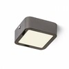 RENDL HUE SQ 9 stropní černý chrom 230V LED 6W 3000K R12806