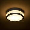 RENDL CIRA LED 23 stropní opálové sklo/černá 230V LED 12W IP44 3000K R13680