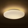 RENDL SARA LED 36 stropní opálové sklo/chrom 230V LED 24W IP44 3000K R13688