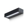 RENDL ASTER 25 nástěnné svítidlo černá mléčný akryl 230V LED 2x6W IP65 3000K R14198