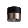 RENDL JUNIPER stropní svítidlo černá/zlatá 230V LED 15W 30° 3000K R14217