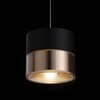 RENDL JUNIPER závěsné svítidlo stahovatelná černá/zlatá 230V LED 15W 30° 3000K R14219