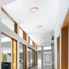 RENDL LANA 40 přisazené svítidlo dekor buk/plast 230V LED 32W 3000K/4000K/6000K R14305
