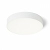 RENDL LARISA R 30 stropní svítidlo bílá 230V LED 30W 3000K/4000K/6500K R14357