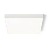RENDL LARISA SQ 60 DIMM stropní svítidlo bílá 230V LED 100W 3000K/4000K/6500K R14372