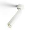 RENDL DARRIN R přisazené bodové svítidlo bílá 230V LED 6W 24° 3000K R14470