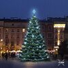 LED světelná sada na stromy vysoké 9-11m, ledová bílá s Flash, dekory EFD11