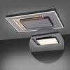 PAUL NEUHAUS, Q-ALTA, LED stropní svítidlo, stmívatelné, Smart Home ZigBee 2700-5000K 6125-18
