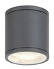 Rabalux venkovní stropní svítidlo Akron GU10 1x MAX 35W antracitová IP54 8150
