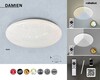 Rabalux SMART chytré svítidlo Tuya Damien LED 24W CCT DIM 5540