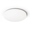 RENDL SEMPRE R 34 stropní mléčný akryl 230V LED 24W 3000K R12432