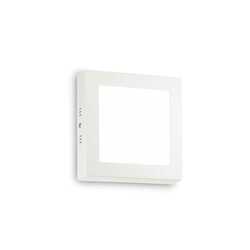 LED nástěnné a stropní svítidlo Ideal Lux Universal AP1 138633
