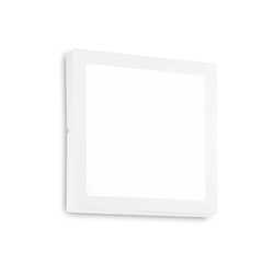 LED nástěnné a stropní svítidlo Ideal Lux Universal AP1 138657