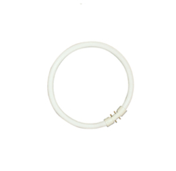 Sylvania T5 Circline Plus 22W 830 2GX13 5410288005201