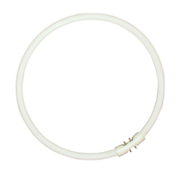 Sylvania T5 Circline Plus 40W 840 2GX13 5410288005249 10