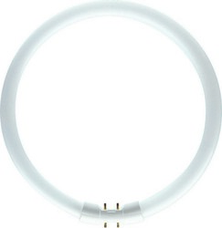 Philips kruhová MASTER TL5 Circular 22W/830 2GX13