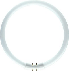 Philips kruhová MASTER TL5 Circular 40W/840 2GX13