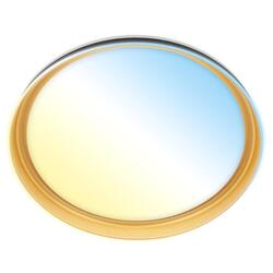 BRILONER Gima stropní svítidlo pr.51 cm - 48W, 5200lm, LED, stmívatelné, dálkový ovladač, CCT, černá/zlatá 3943015