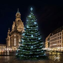 LED světelná sada na stromy vysoké 18-20m, ledová bílá s Flash, dekory EFD05